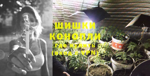 индика Лиски