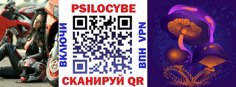 Купить закладки  Иваново  Псилоцибиновые грибы GOLDEN TEACHER 