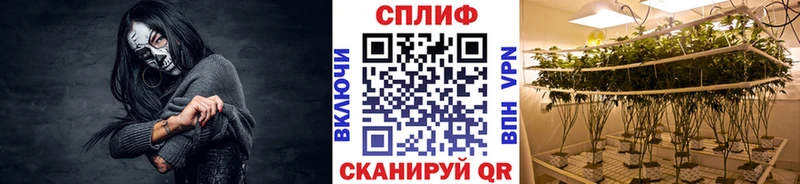 Конопля тримм  Купить закладки  Иваново 